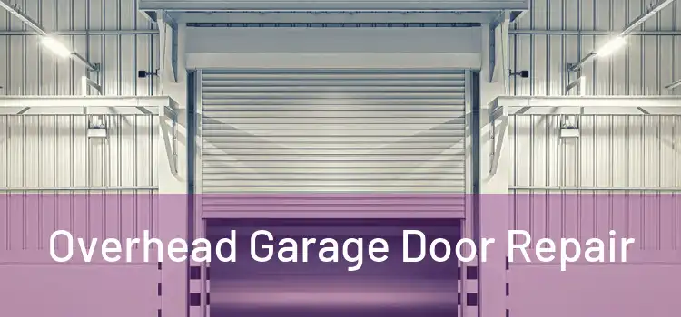 Overhead Garage Door Repair